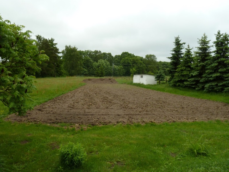 zukünftige Gartenmöglichkeiten.JPG