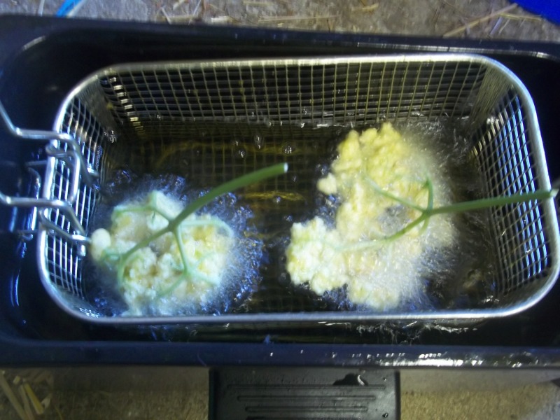 ab in die friteuse