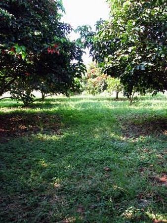 1.Hier kommt der Brunnen hin.jpg