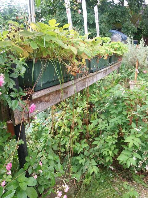 die dritte dimension.JPG