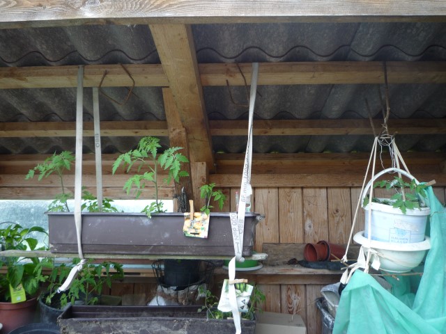 P1060004 (Small).JPG