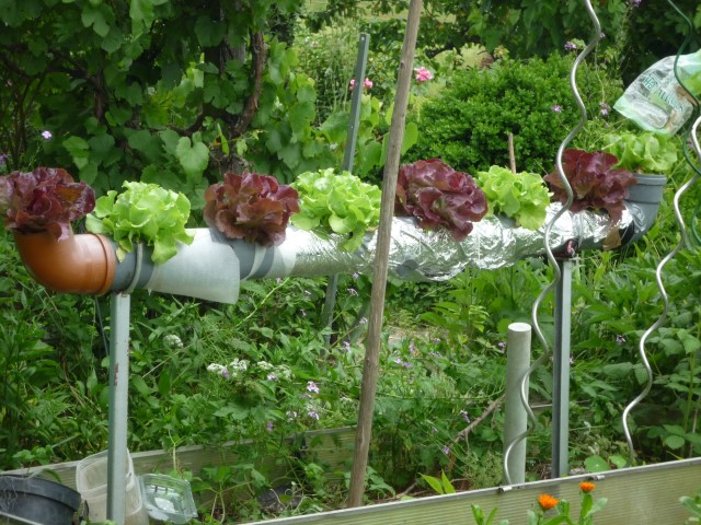 P1060005 (Small).JPG