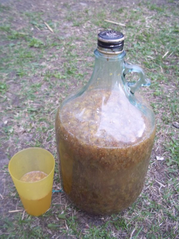 hopfen-met