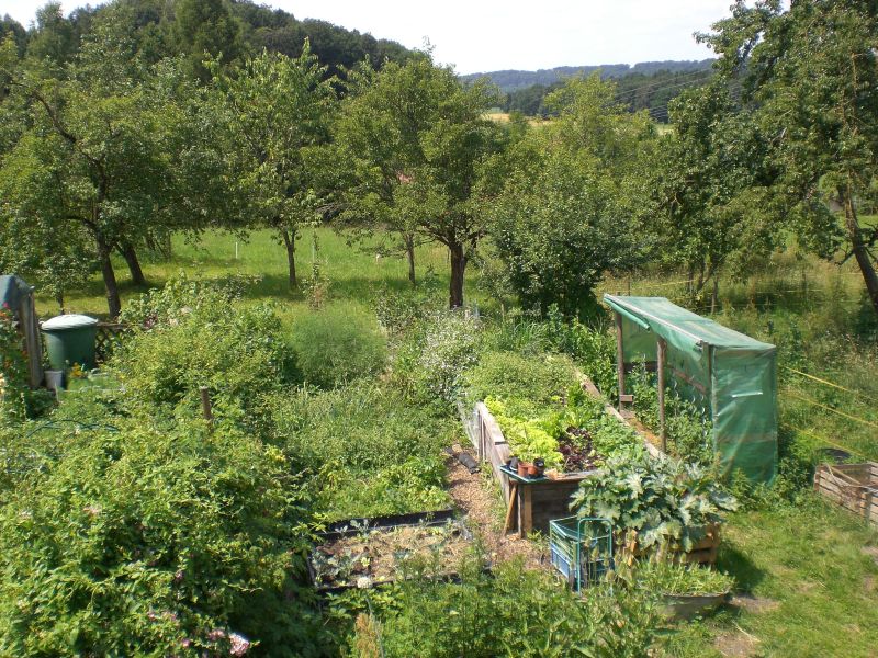 CIMG0831forumfoto gartenüberblick.jpg