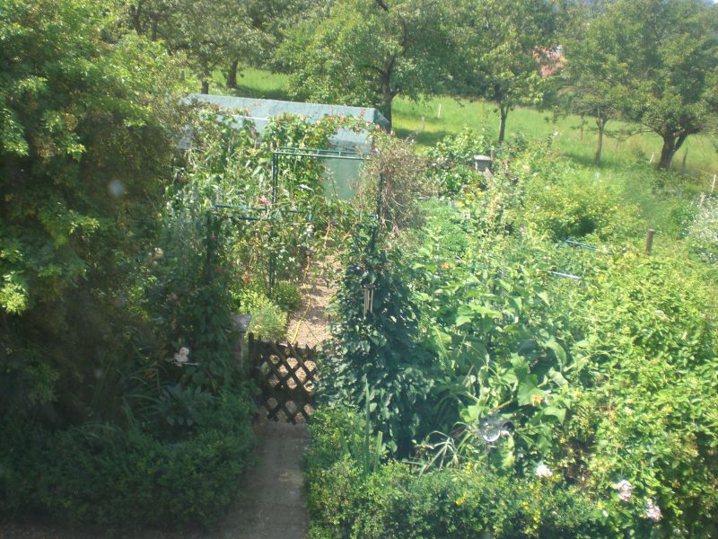 CIMG0830gemüsegarten.jpg