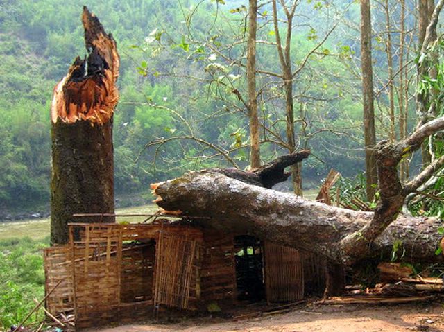 ...in 3 Metern Hoehe gebrochen und noch die halbe Feldkueche begraben...