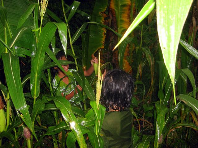 Die Kids nutzten auch auf ihre Weise den Abend.