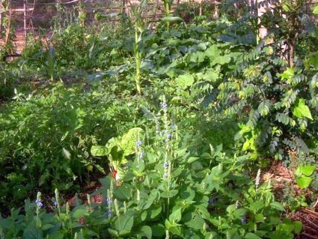 Welche ist Fehl am Platze?!