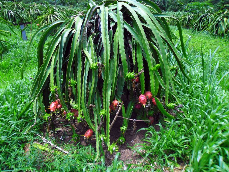 Klein, erst 1,5Jahre alt