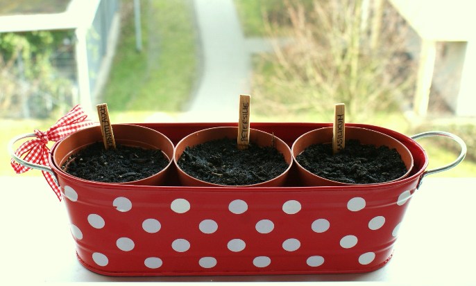 Mein bescheidener Anfang :-)