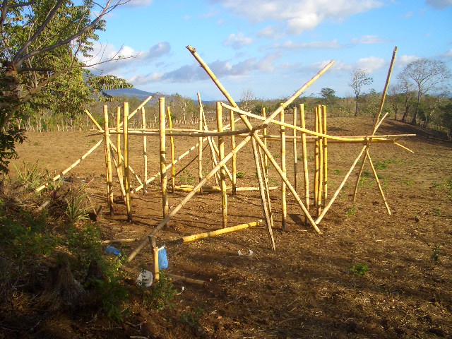 Bambusstützen für die Wand