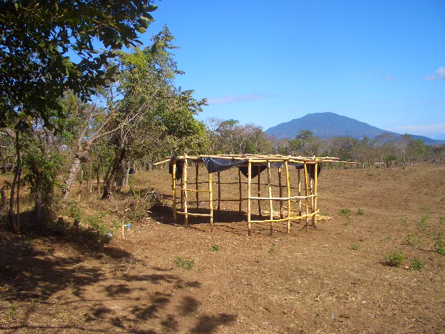 Die Wandstützen mit Querstreben verbunden.<br />Für mehr Festigkeit.
