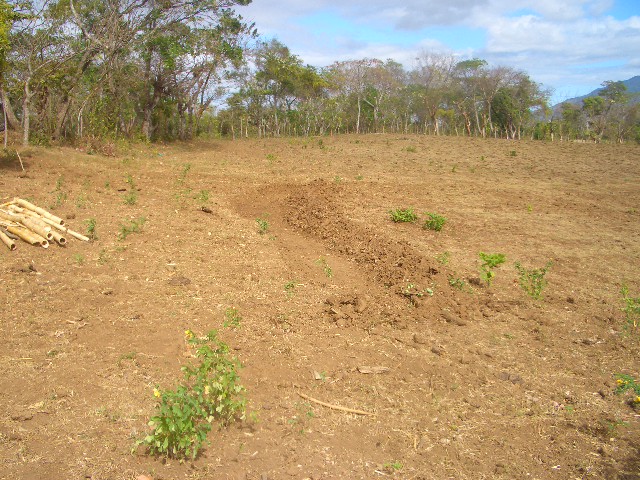 der Anfang der Chinampas, 17 Meter an einem Tag, ein Knochenjob bei 30 Grad.