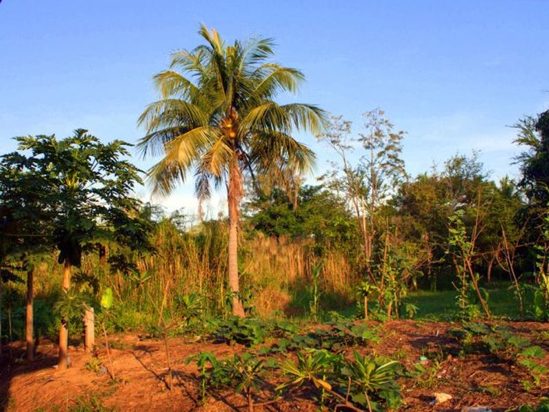 new plot wilderness.jpg