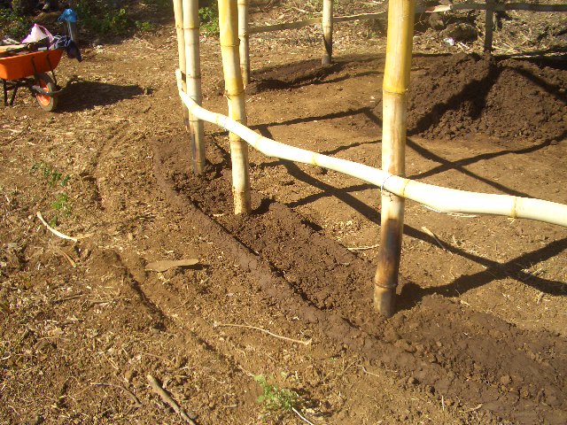 DDie Vorbereitung der Wände.