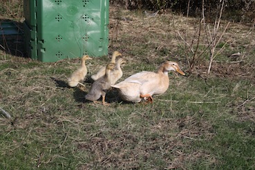 hätte ich doch fast vergessen