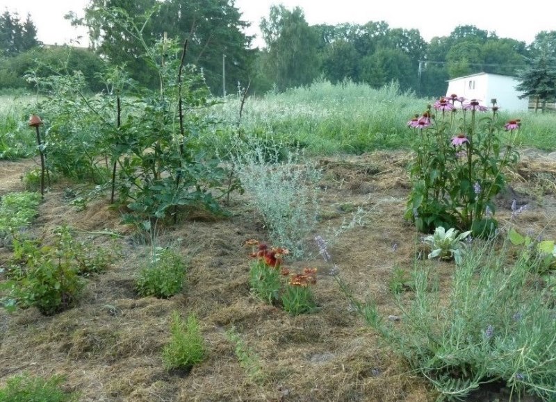 bisschen was ist geschafft.JPG