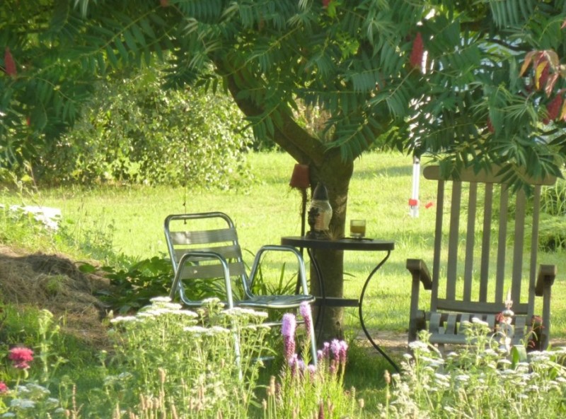 Essigbaum als Schattenspender.JPG