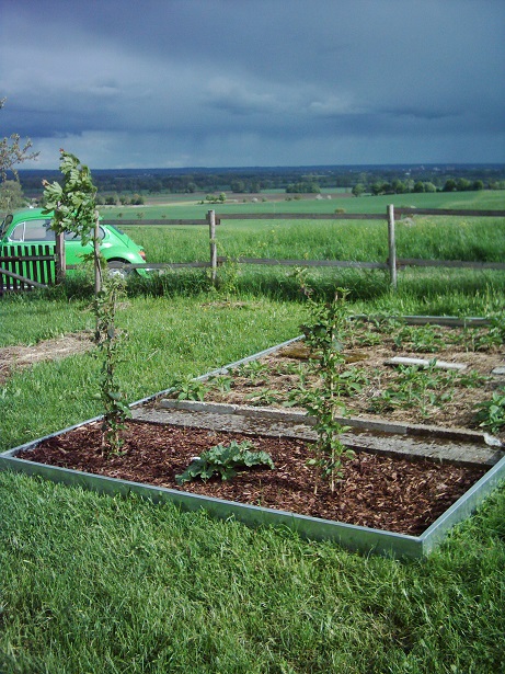 Noch kahl - die Betonplatten sind wie alle Betonteile im Garten ein Geschenk eines Nachbarn, der sie nicht mehr brauchte---