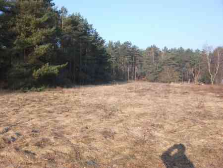 wiese neben Baufenster 1 red.jpg