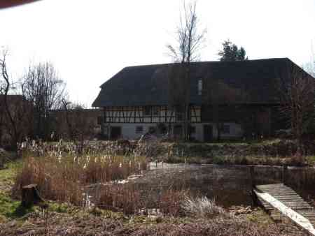 Haus Gartenseite4 low.jpg