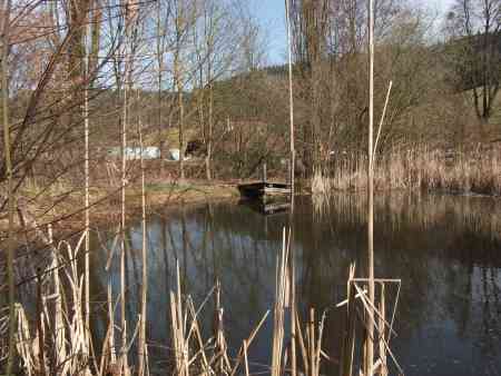 Teich 1 red.jpg