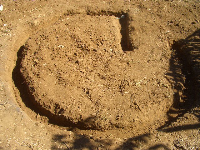 auch hier schön in der Sonne.....