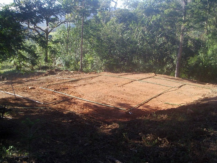 Der Grundriss mit Bambus ausgelegt