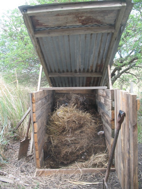 compost heap.JPG