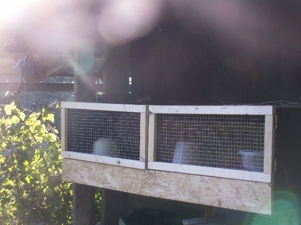 Noch ohne Automatiktränken