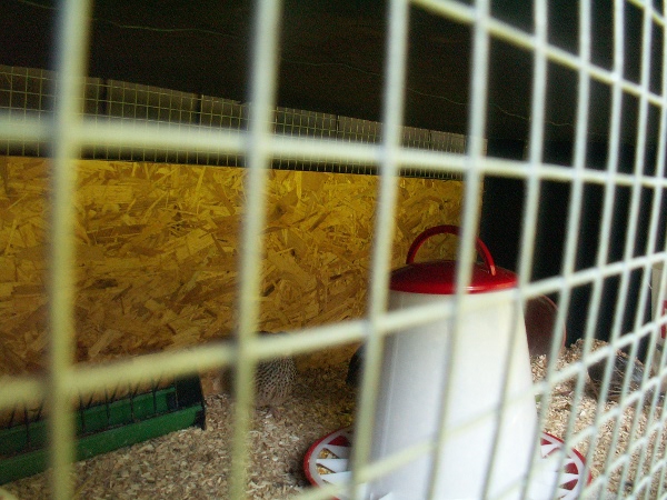 Innenleben, Blumentopf steht noch falsch herum