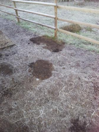 wir schlafen lieber draußen