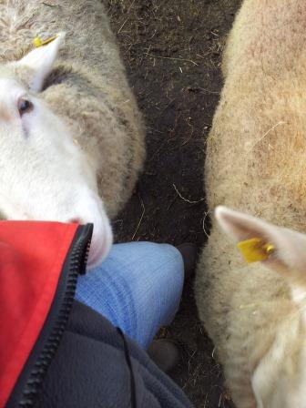 gib doch zu, dass du was in der tasche hast...