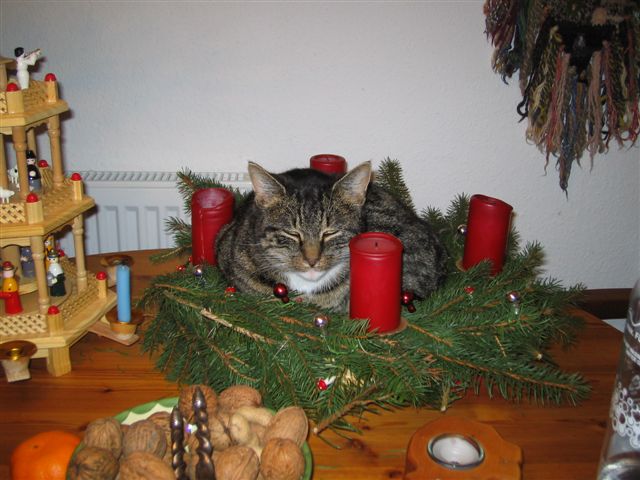 ...den Platz macht mir niemand streitig!