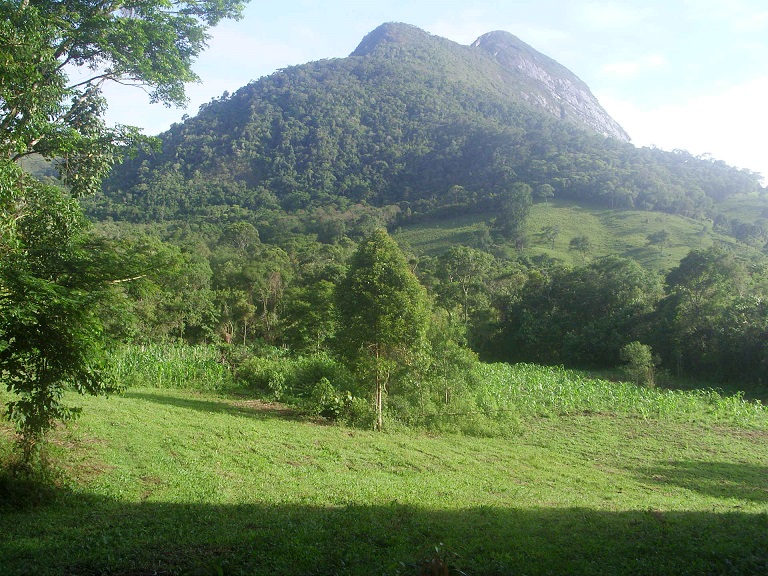 und so nach der Befplanzung