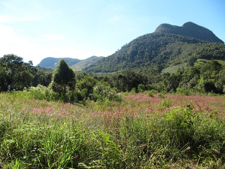 So sah das jetzt bestellte Feld im Mai aus