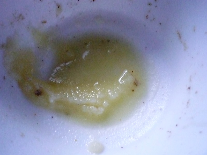 GänseschmalzZimmertemp.