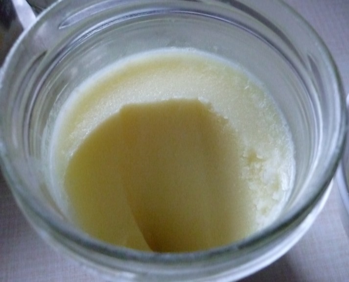 Gänseschmalz gekühlt