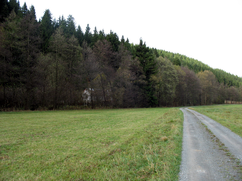 Irgendwo im Frankenwald