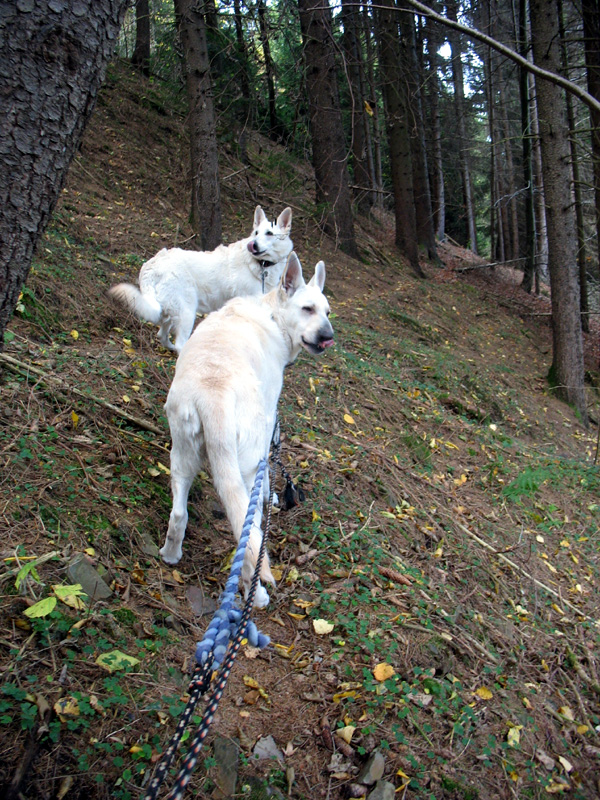 Auf dem Weg zur Quelle