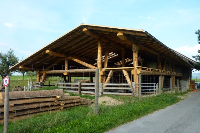 Aufrichte Ueberdachung 061.JPG