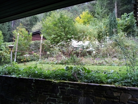 1 so war der Garten wie wirs gekauft haben , die sonnigste Stelle im Garten violl mit Rosen und Sträuchern.jpg