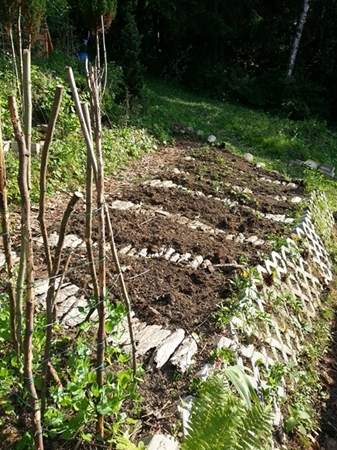 3 Karomauer neu, Beet vorbereitet für Gemüse und Sträucher alle weg.jpg