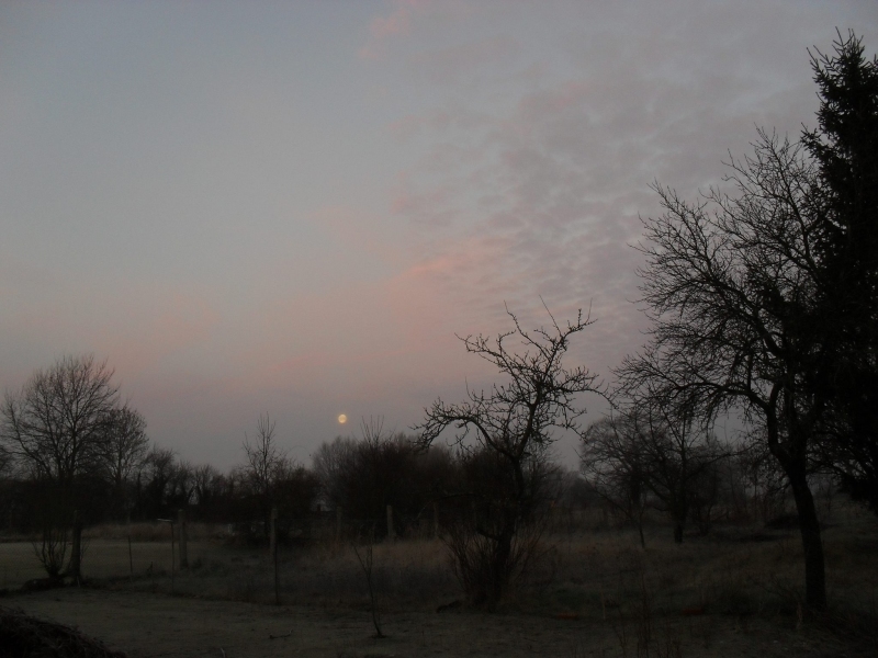 monduntergang 20140118.jpg