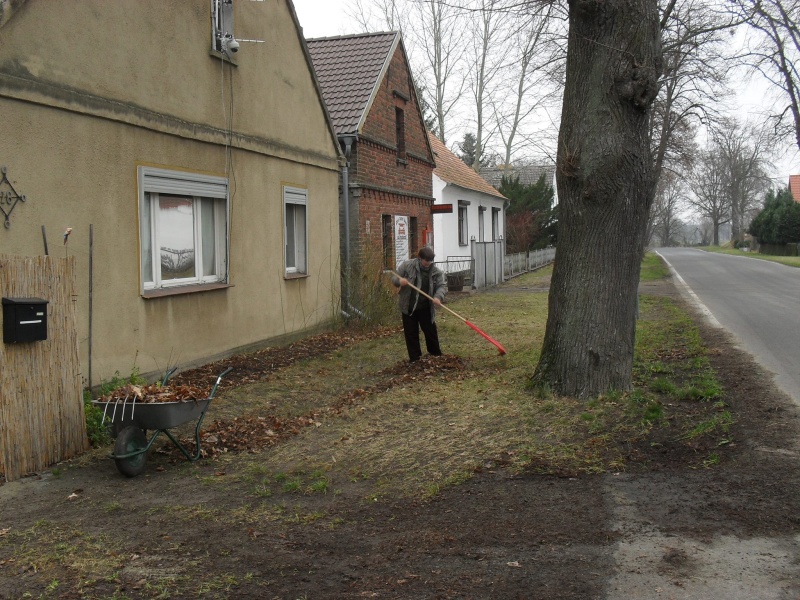 laub? ich dachte das ist mulch...