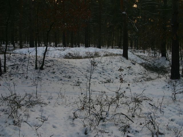 k-IMG_0104.jpg