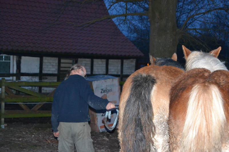unsere Jährlinge gehen auch ins Bett