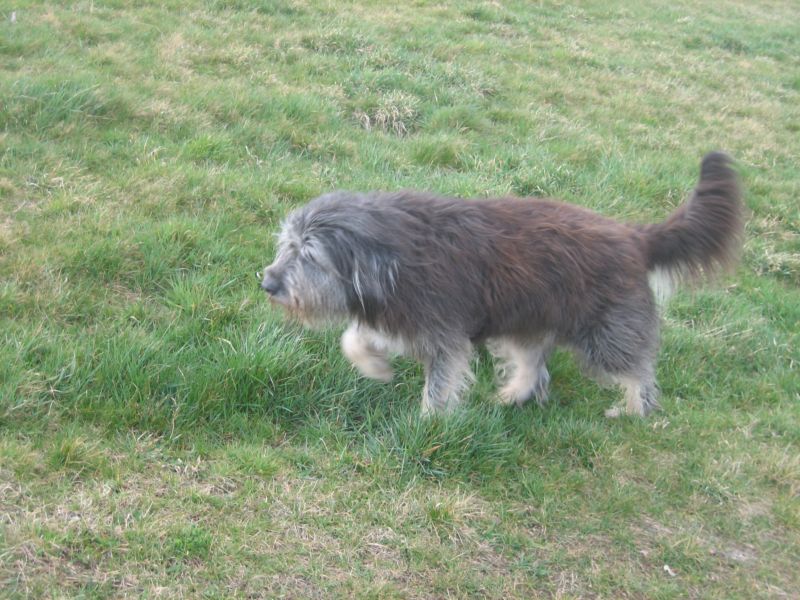 Sonntag im März 002.jpg