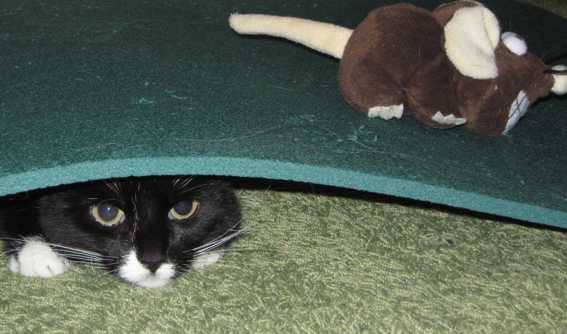 130313 Spooky im Spielzeugland 04.jpg