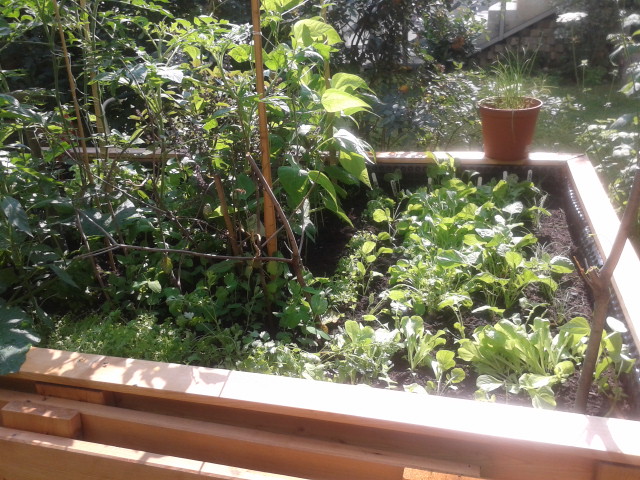 20130726_095325.jpg